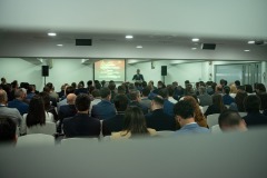 ECONOMIA-PLATEADA-255