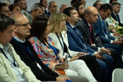ECONOMIA-PLATEADA-268